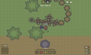 moomoo io level guide